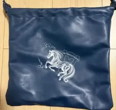東京競馬場 Welcomeチャンス 特別版 巾着2WAYポーチ　限定品　競馬のサムネイル
