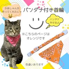 ラブキャット【購入前コメント下さい】様 リクエスト 3点 まとめ商品