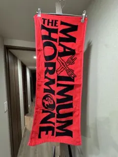 2025年最新】マキシマム タオルの人気アイテム - メルカリ