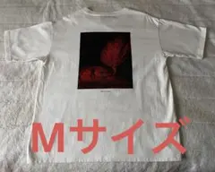 2025年最新】ロンリーラプソTの人気アイテム - メルカリ