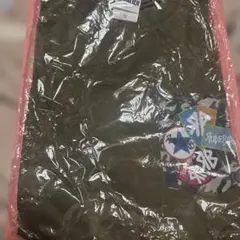 HIGH＆LOW THE LIVE RUDEBOYS Tシャツ 未使用