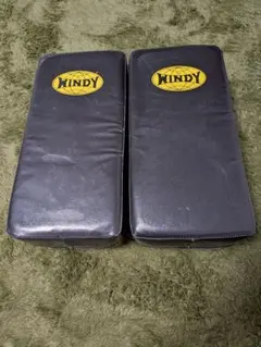 Item thumbnail for item 028481fb-f8f3-4186-8ed0-809eadcbd30d