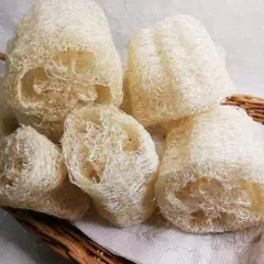 Item thumbnail for item 55864657-3430-421d-83ff-428eba4413cc