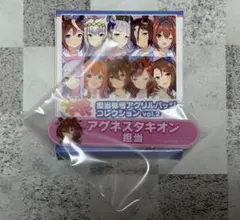 ウマ娘 プリティーダービー 担当称号アクリルバッジコレクション アグネスタキオン