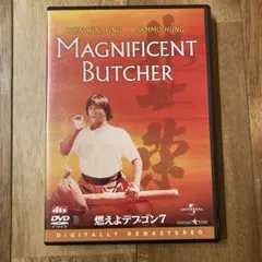 Item thumbnail for item 73ea7cc8-79c1-494a-b330-ce8175099b01