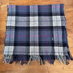 Item thumbnail for item 8ede8479-183c-4273-a1f3-9bdd356d9b1f