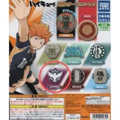 ハイキュー　高校モチーフピンバッジ　白鳥沢