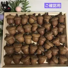 upendo様　ご確認用　レッドオークどんぐり　帽子未接着品　見本