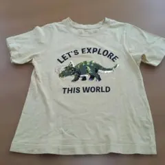 Item thumbnail for item 77c40b4a-afa5-4a7b-9ef6-af3161e0d548