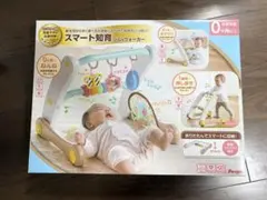美品【スマート知育ジム&ウォーカー】付属品全てあり