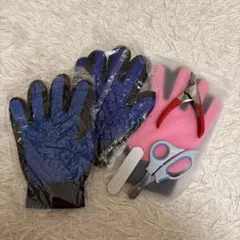 Item thumbnail for item 3b9f0ef4-0682-4b10-b422-267fd329bfac