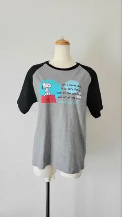 値下げ！【美品】PEANUTS スヌーピー 半袖Tシャツ グレー×黒
