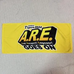 Item thumbnail for item d14fa197-daa5-4ce6-913d-62e62c24afda