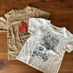 Item thumbnail for item 11073bb0-6361-4042-ae80-5aac923acec7