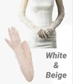 Item thumbnail for item 414eff13-7116-467e-8414-8fb47a8ee991