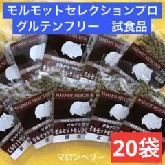 2025年最新】モルモットセレクションプロの人気アイテム - メルカリ