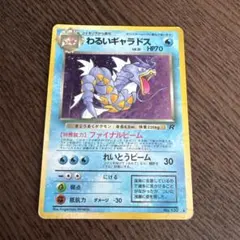 2026年最新】わるいギャラドスの人気アイテム - メルカリ