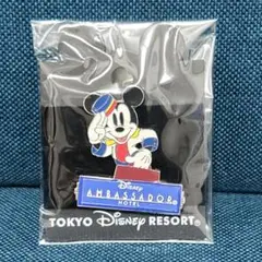 レア物　ディズニーリゾート ピンバッジ