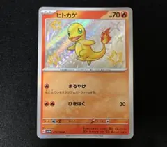 ヒトカゲ S 210/190
