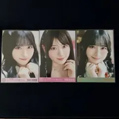 Item thumbnail for item 4c3679e1-ddd7-4b7d-881d-798bb44d196c