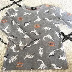 【kladskap】【120】⭐︎長袖カットソー ⭐︎ダイナソー