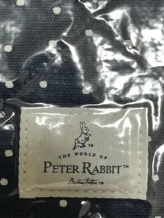 Item thumbnail for item 5830c650-7087-41ab-a5f0-f609261f9d18