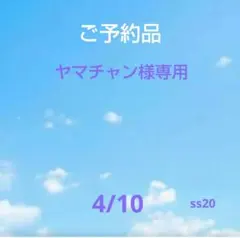 ヤマチャン様専用