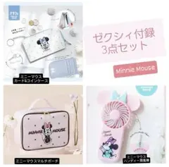 ゼクシィ付録ミニーマウス3点セット
