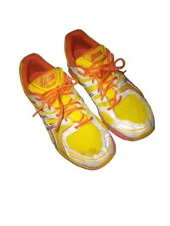 ニ*ト様 アシックス ASICS GEL-DS SKY SPEED 27cm