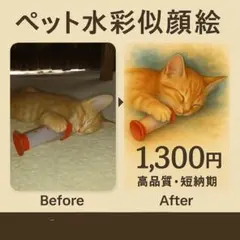 猫 アート・写真