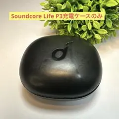 Soundcore Life P3充電ケースのみ