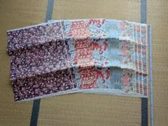 Item thumbnail for item 14848eb0-62b9-47d9-b736-1f803a99c751