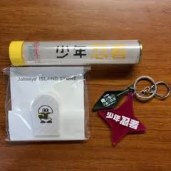 2026年最新】少年忍者 ペンライトトップの人気アイテム - メルカリ