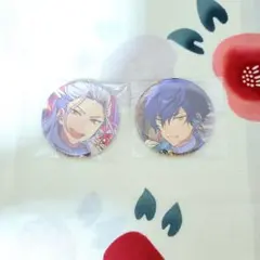 あんスタ 乱凪砂 漣ジュン Eden 缶バッジ