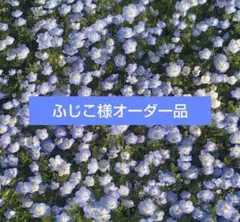 ふじこ様 リクエスト 3点 まとめ商品