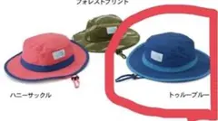 THE NORTH FACE トールブルー 帽子