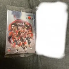 男子バレー　ツインウエハース　集合　スペシャル