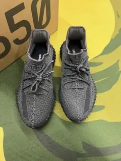 Item thumbnail for item 95594316-a4c5-419a-aa44-b491f6e5b068