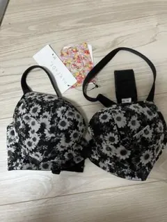 Wacoal PARFAGE ブラジャー E65のサムネイル
