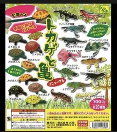 2026年最新】コモドドラゴンの人気アイテム - メルカリ