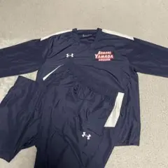 Item thumbnail for item 297a6954-0c45-4239-bde1-39fa7f7be958