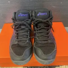 Item thumbnail for item 9fd16027-20a1-454a-b1ab-52ee097ef909