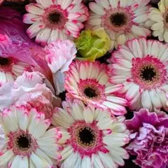 Item thumbnail for item 2b442150-0200-4c06-9116-33075eb71360