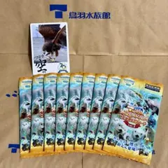 バラ売り100円】鳥羽水族館 コレクションカード（とレカ） - メルカリ