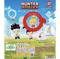 HUNTER×HUNTER ハンターハンターめじるしアクセサリー G.I.編ゴン