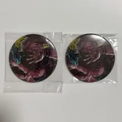 呪術廻戦 宿儺 コレクション缶バッジ 第3弾 2点
