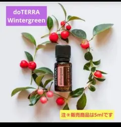 ドテラ ウィンターグリーン5ml 新品未開封 非売限定品 - メルカリ