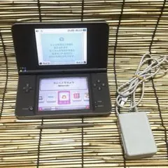 ニンテンドーDSi LLブラック 本体 タッチペン 充電器付き