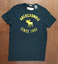 ★送料無料★新品★Abercrombie＆Fitch★刺繍★厚手★Tシャツ★M★