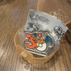 ポケモン 30周年 メタルチャームマスコット リザードン